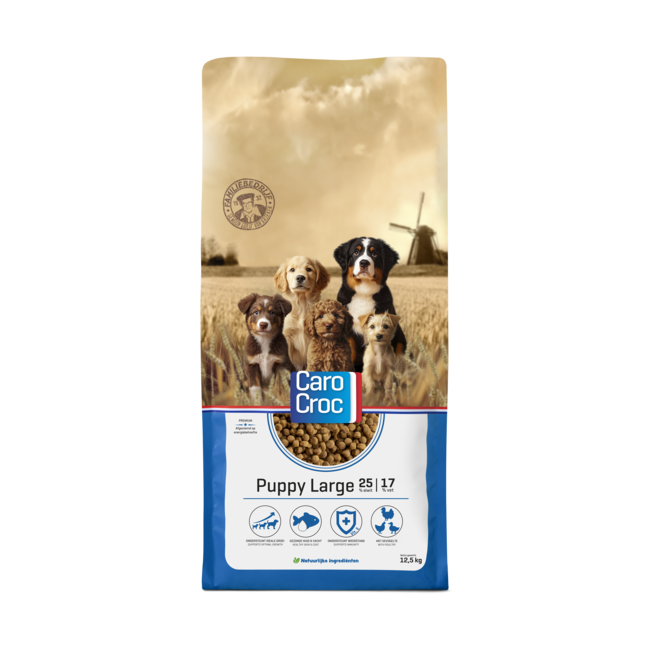 Carocroc Puppy Large (27/17)