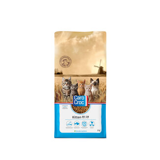 Carocat Kitten