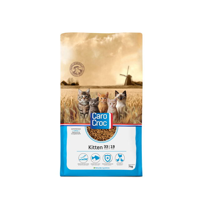 Carocat Kitten