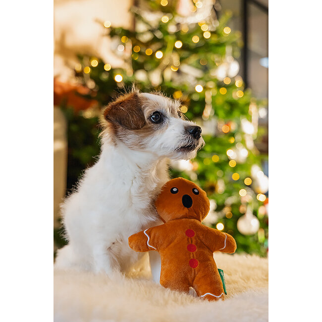 BZ Kerst Gingerbread