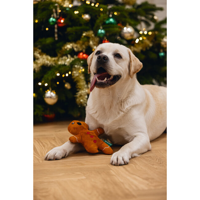 BZ Kerst Gingerbread