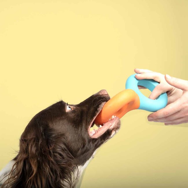 Hondenspeeltje DOODLE 23x10,5x3cm blauw/oranje