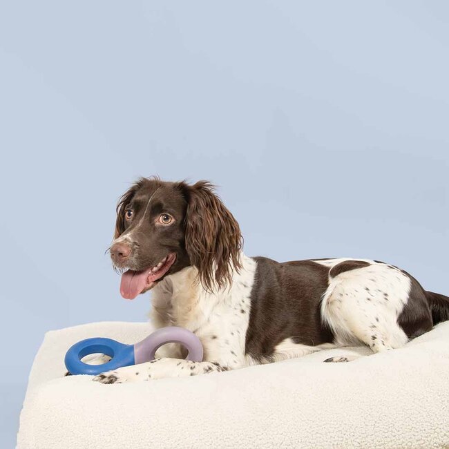 Hondenspeeltje DOODLE 23x10,5x3cm paars/blauw