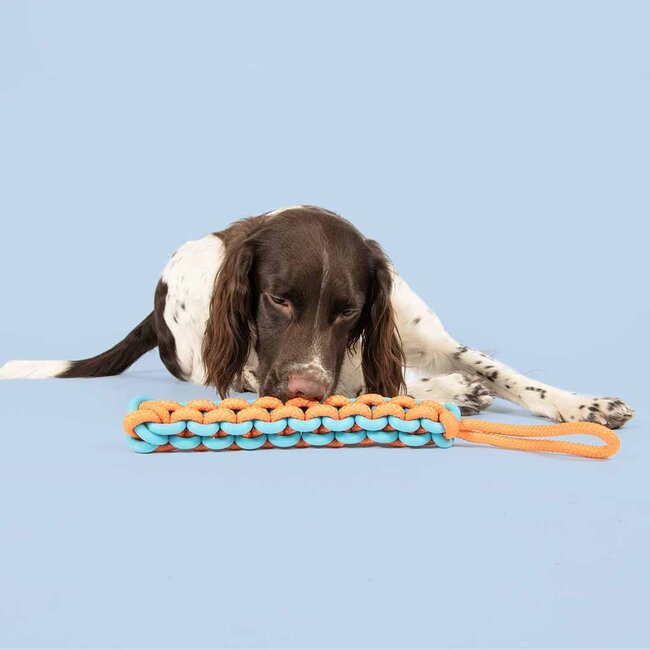 Hondenspeeltje TW ISTING TUGGER 45x4,5x4,5cm blauw/oranje