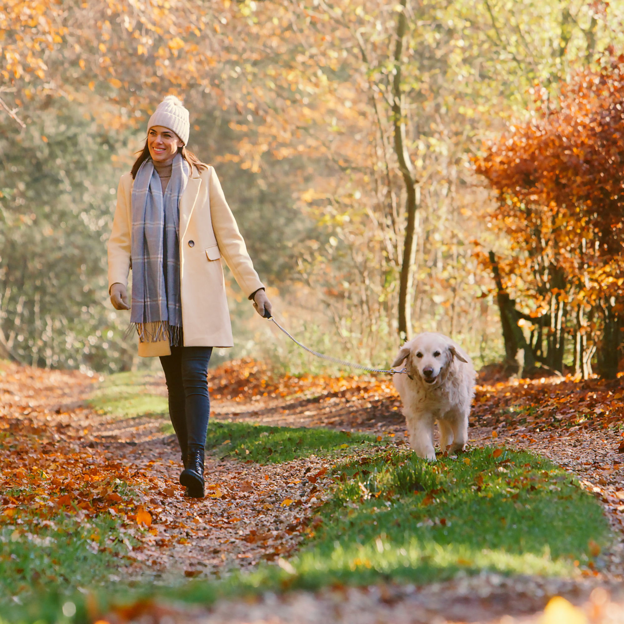 Herfstwandeling