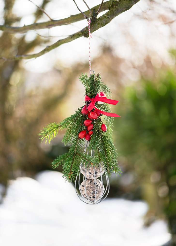 Workshop  kerstdiner voor de buitenvogel