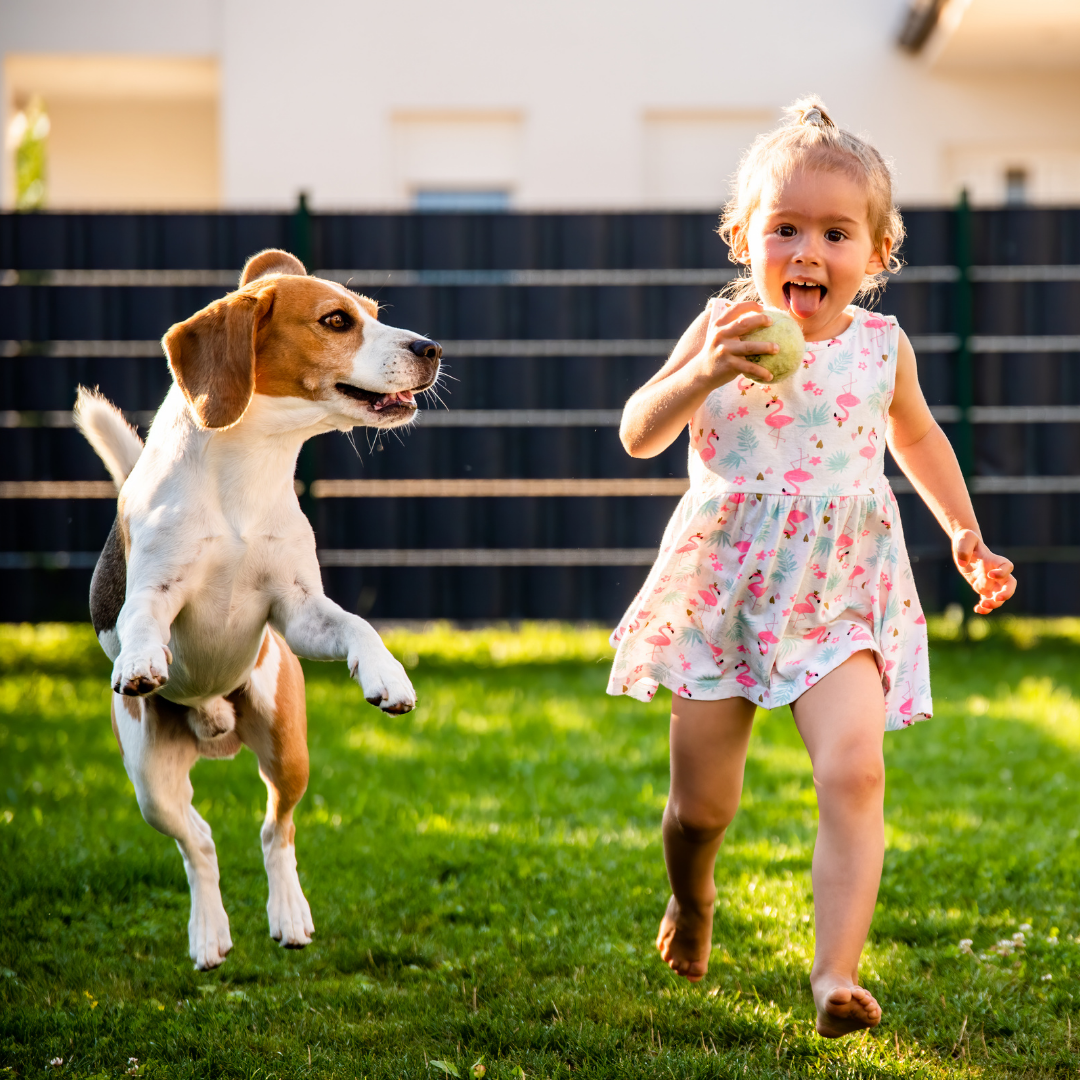Hotse-Knotse-Kinderrally