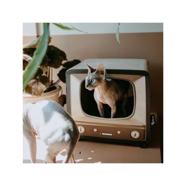 District 70 Telly Bruin 39,6x35x37 cm