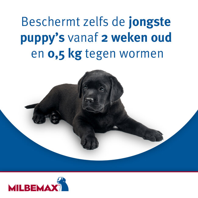 Milbemax Honden tot 5 KG