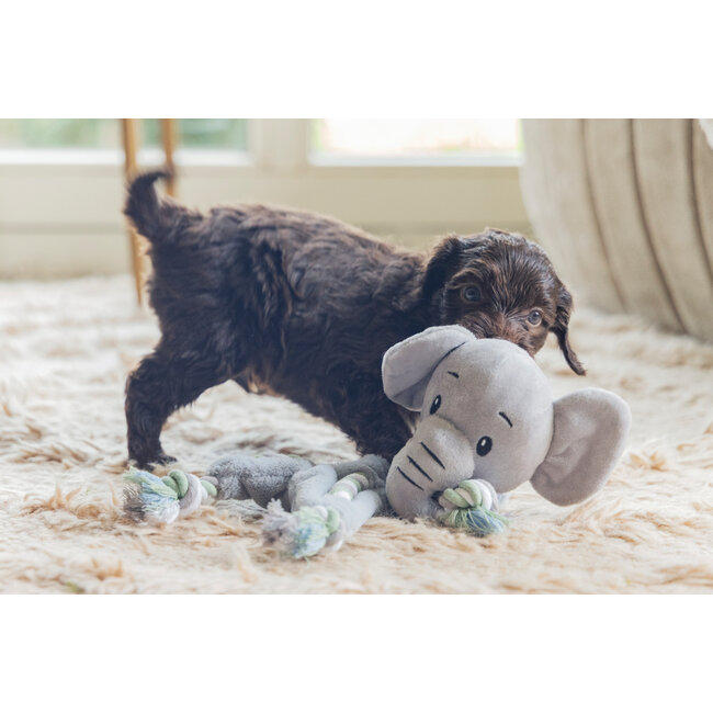 BZ Puppy Knuffel Touw Olifant Mo