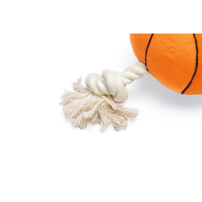 BZ PLU BASKETBAL MET TOUW ORA 27