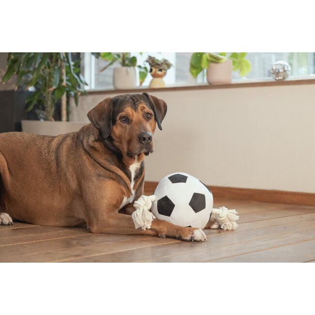 BZ Pluche voetbal Touw ZWT/WIT 36