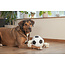 BZ Pluche voetbal Touw ZWT/WIT 36
