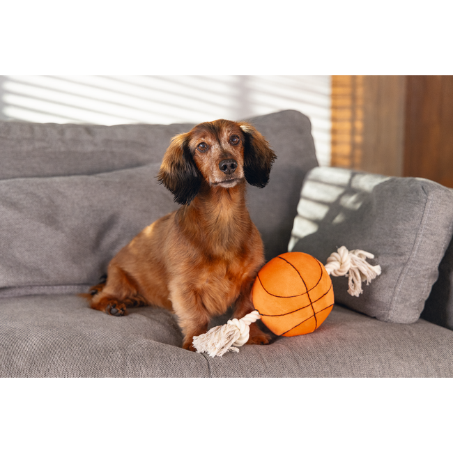 BZ Pluche Basketbal met touw