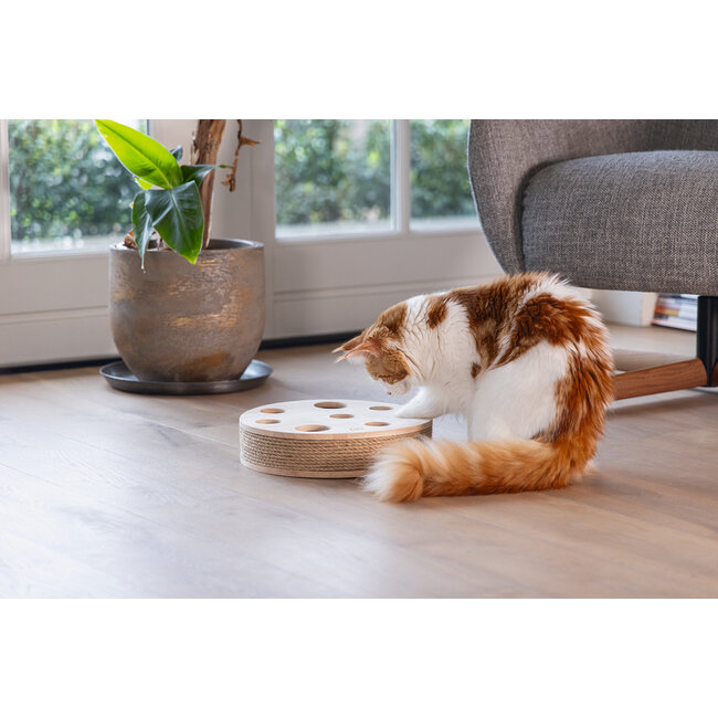 DBL Kattenspeelgoed Raya