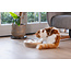 DBL Kattenspeelgoed Raya