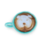 BZ PLU HSP CAPPUCCINO BLW 21