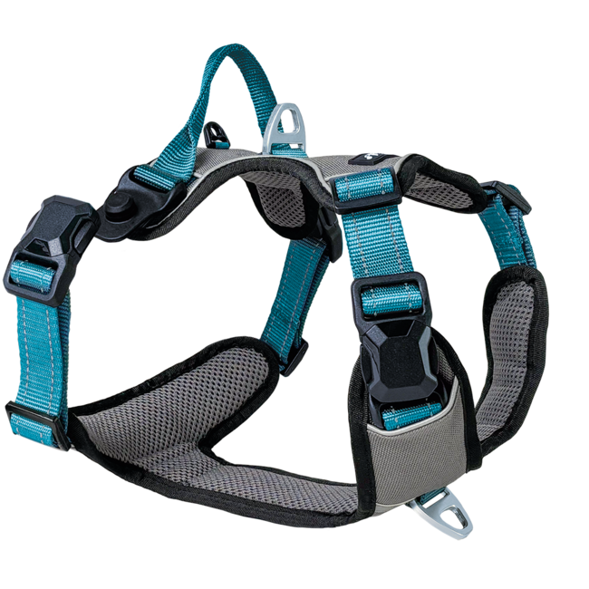 Petlando Magnetech Harness Antracite/Petrol