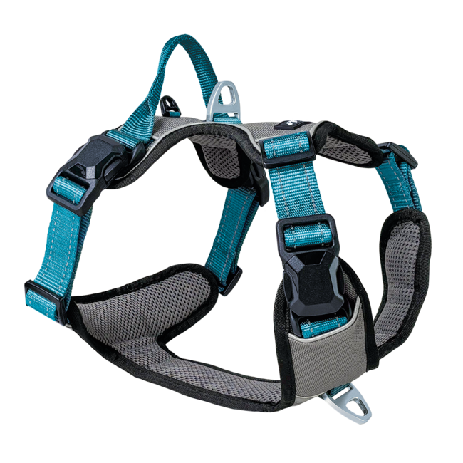 Petlando Magnetech Harness Antracite/Petrol