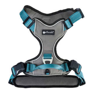 Petlando Petlando Magnetech Harness Antracite-Petrol