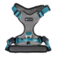 Petlando Magnetech Harness Antracite/Petrol