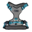 Petlando Petlando Magnetech Harness Antracite-Petrol