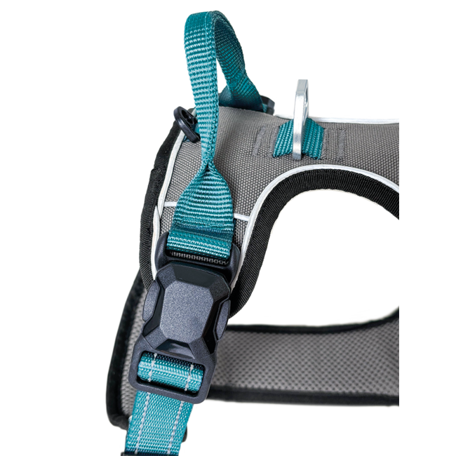 Petlando Magnetech Harness Antracite/Petrol