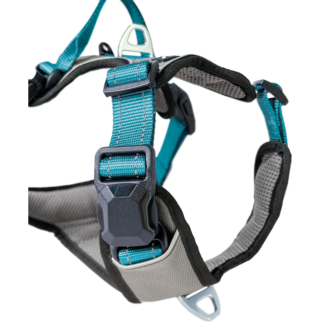 Petlando Magnetech Harness Antracite/Petrol