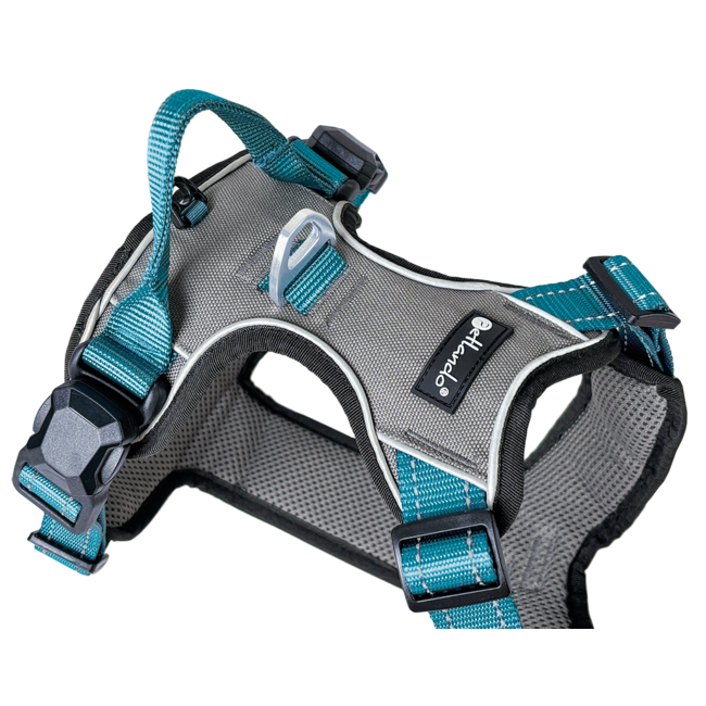 Petlando Magnetech Harness Antracite/Petrol