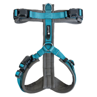 Petlando Petlando Magnetech Comfort Y-tuig Antracite-Petrol