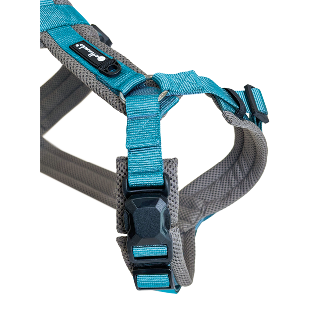 Petlando Magnetech Comfort Y-tuig Antracite/Petrol