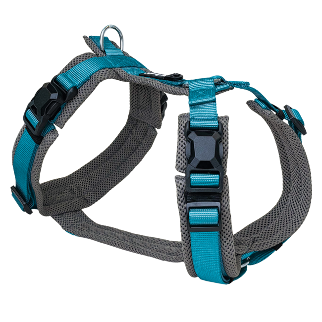 Petlando Magnetech Comfort Y-tuig Antracite/Petrol