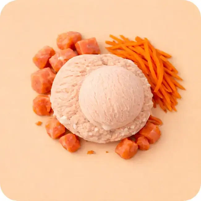 Cold&Dog Frozen Yoghurt Zalm & wortel