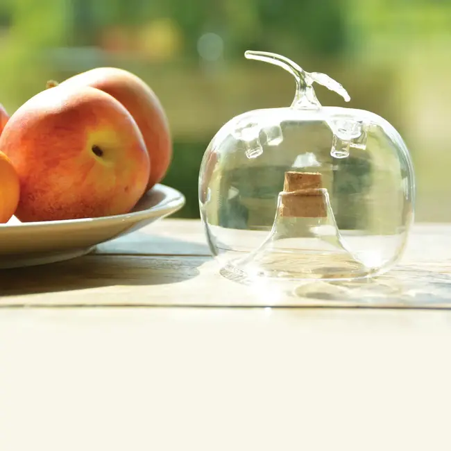 Fruitvliegenval appel (transparant)
