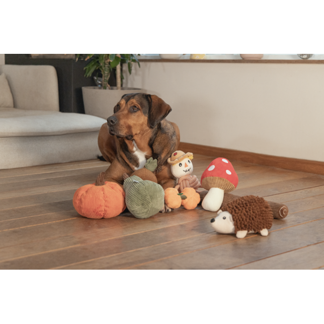 BZ Pluche Paddestoel Toad
