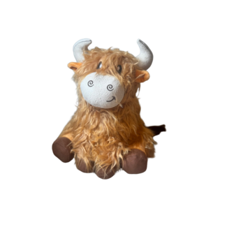 Schotse Hooglander Bonnie