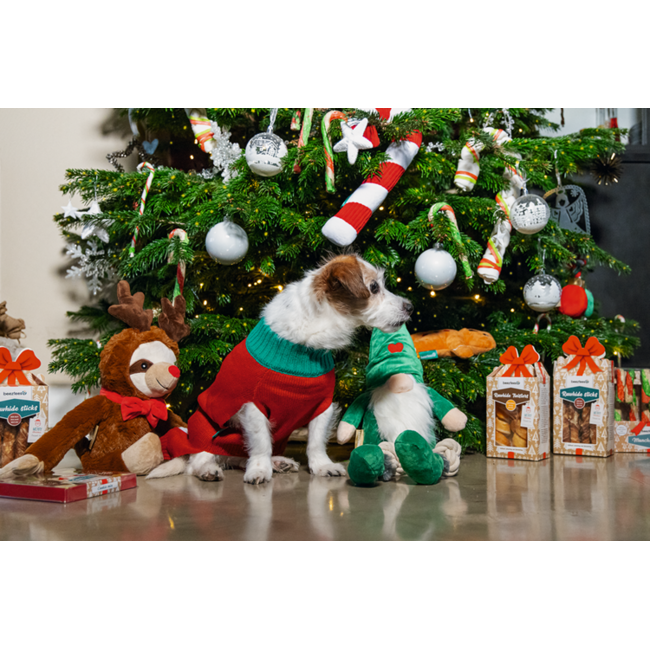 Kerst Braided Rawhide Cane