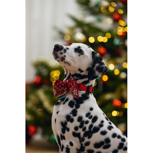 BZ Pluche Kerststrik