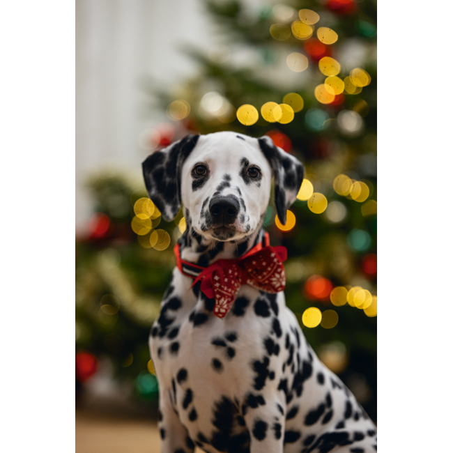 BZ Pluche Kerststrik