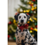 BZ Pluche Kerststrik