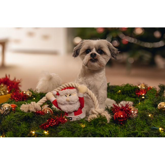 BZ Pluche Kerstman Touw