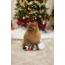 BZ Pluche Snuffel Kerstman