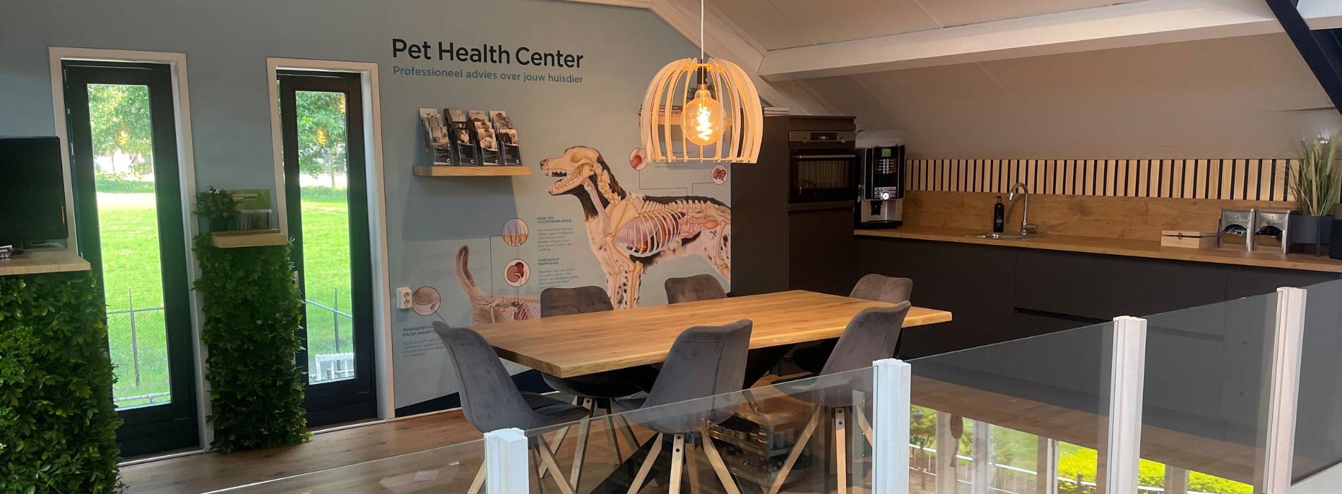 Professioneel advies