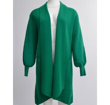 Damesvest lang openvallend met sjaalkraag en blokpatroon op de mouwen - groen *