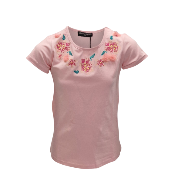 Meisjes shirt Sanne - roze *