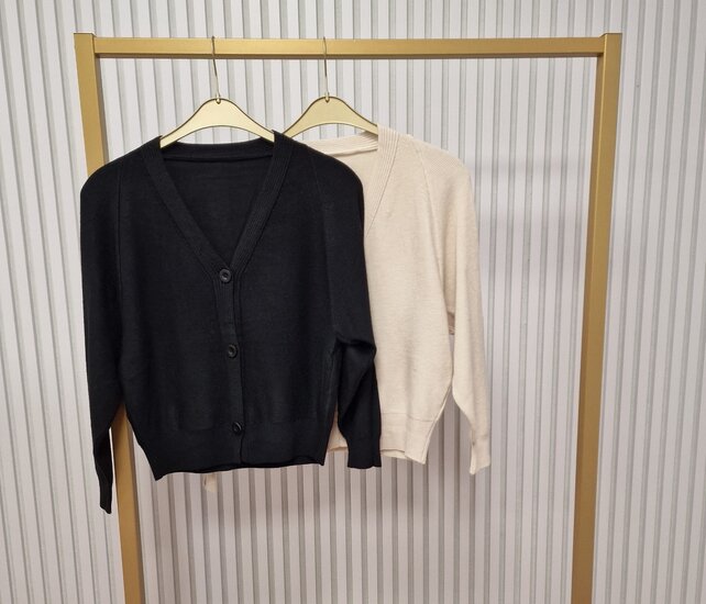 Vest Coralie - zwart