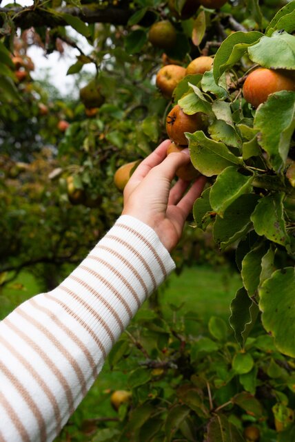 Jurk Katy (tweedelig) - camel