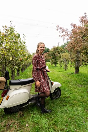 Jurk Emmalyn - bordeaux