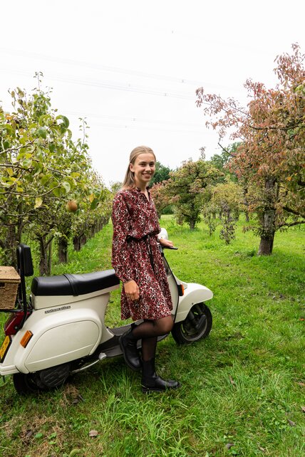 Jurk Emmalyn - bordeaux