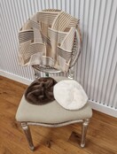 Sjaal met grafische lijnen - beige